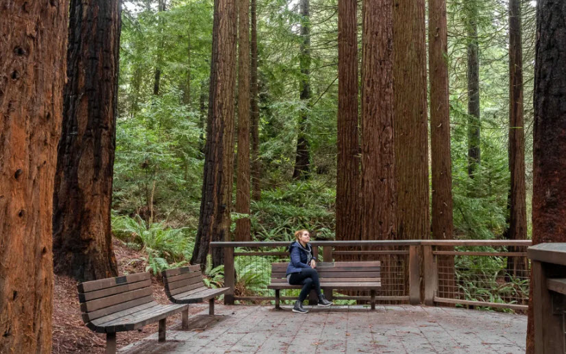 Hoyt Arboretum, United States